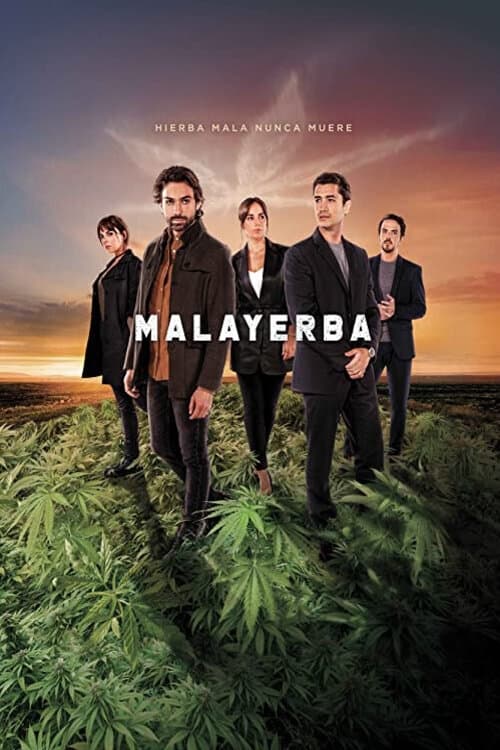 TV ratings for Malayerba in Thailand. Pantaya TV series