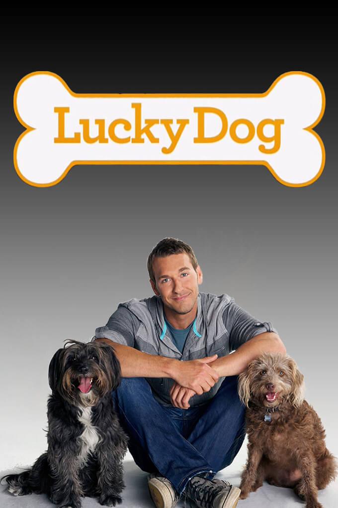 TV ratings for Lucky Dog in Argentina. CBS TV series
