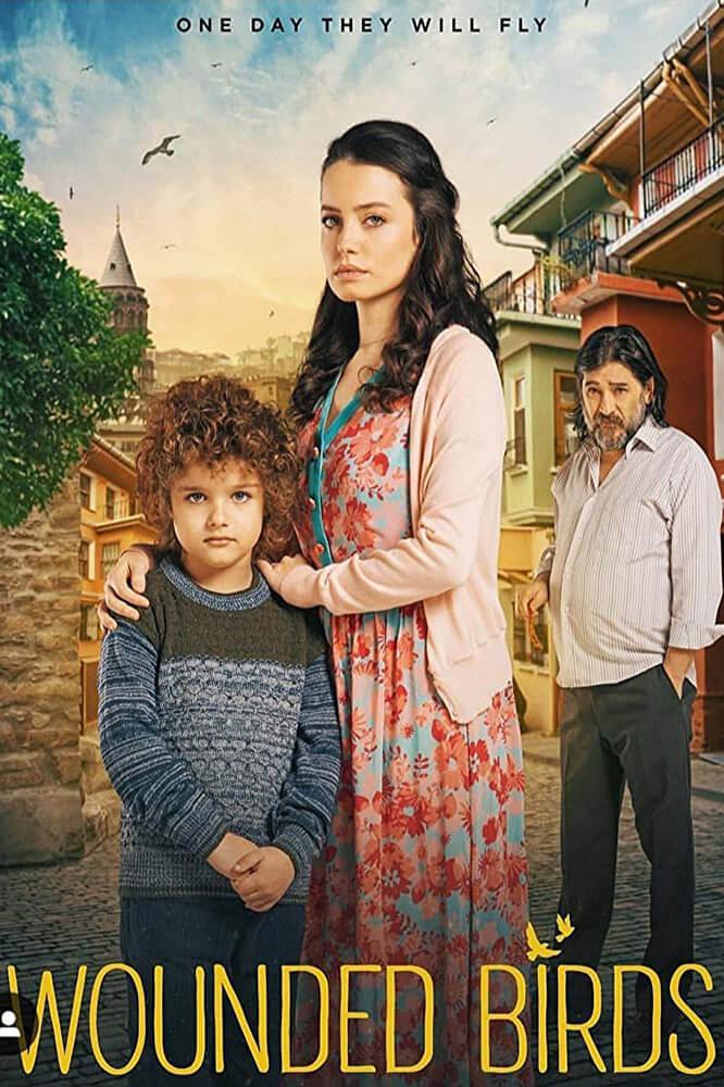 TV ratings for Yaralı Kuşlar in los Reino Unido. Kanal D TV series
