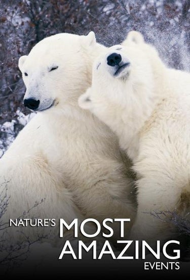 Nature's Most Amazing Events
