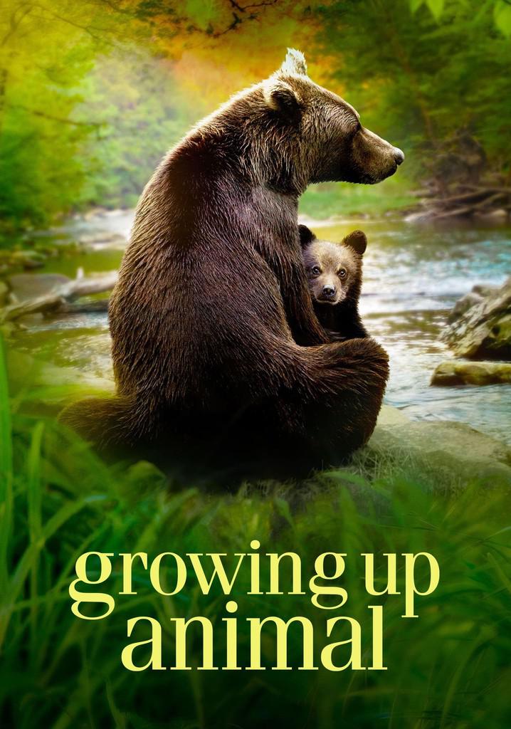 TV ratings for Growing Up Animal in Norway. Disney+ TV series