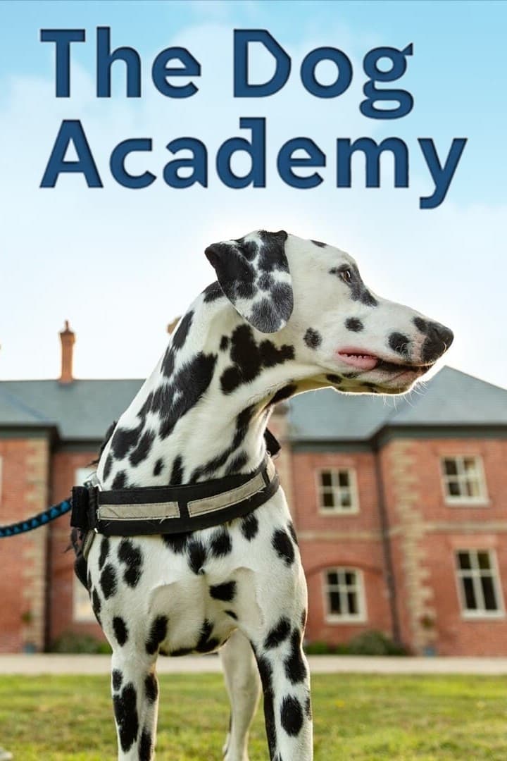 TV ratings for The Dog Academy in Thailand. Channel 4 TV series