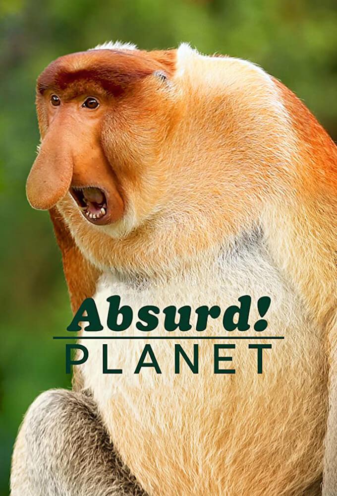 TV ratings for Absurd Planet in Spain. Netflix TV series