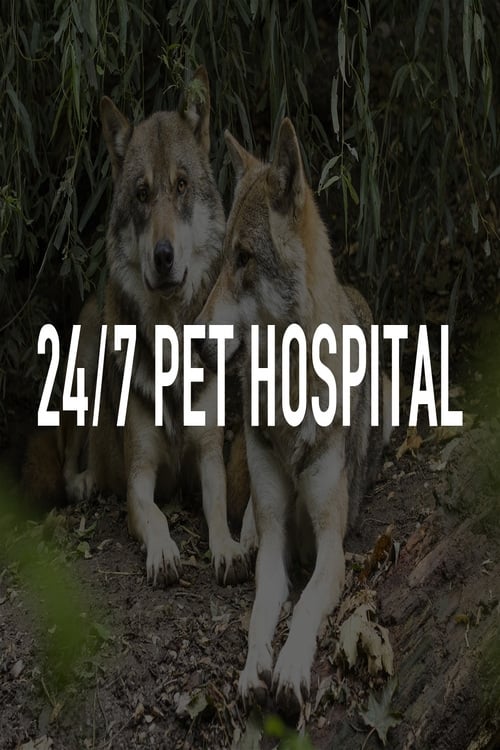 TV ratings for 24/7 Pet Hospital in the United States. BBC One TV series