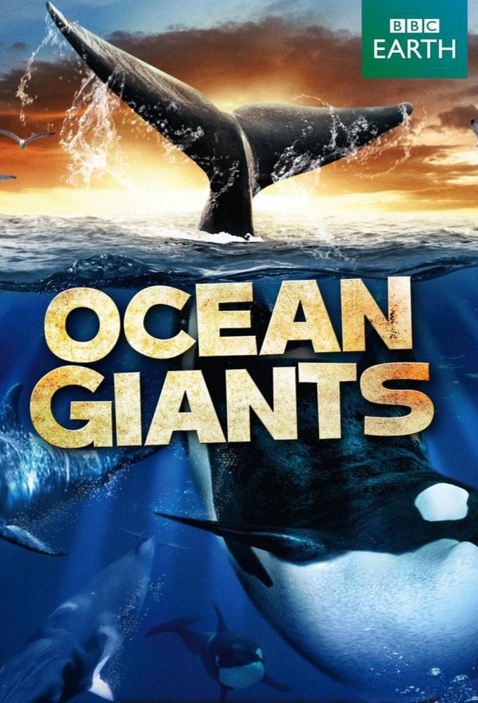 TV ratings for Ocean Giants in Spain. BBC One TV series