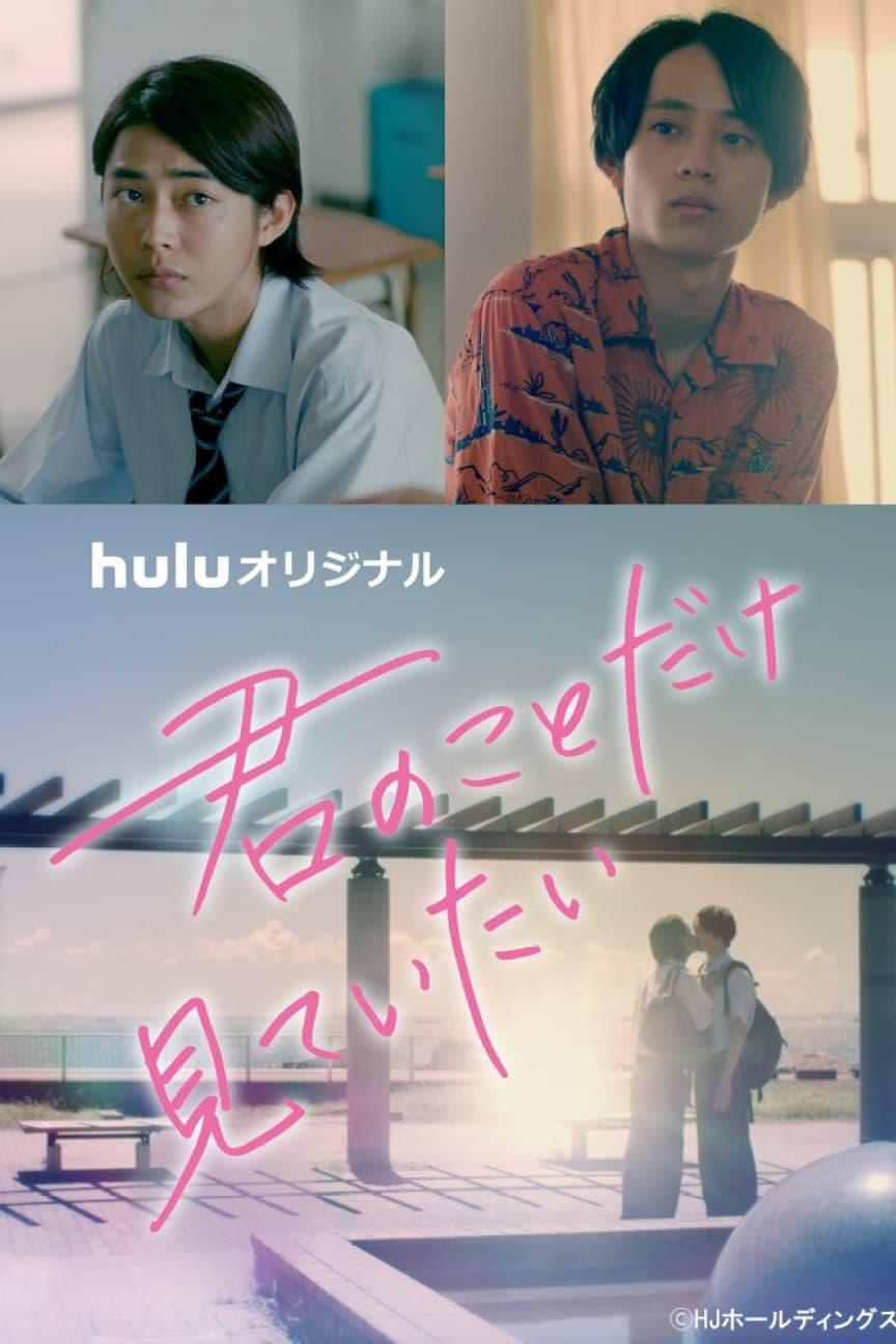 TV ratings for Kimi No Koto Dake Mite Itai (君のことだけ見ていたい) in South Korea. Hulu TV series