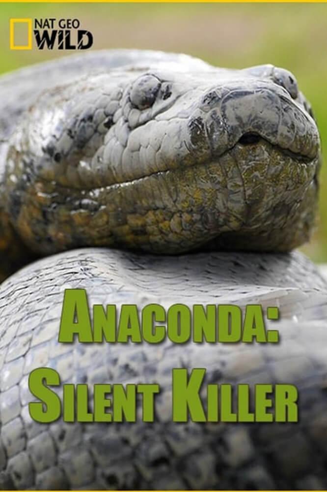TV ratings for Anaconda: Silent Killer in Japan. National Geographic TV series