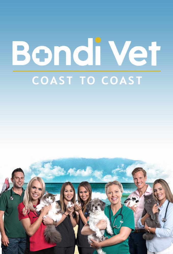 TV ratings for Bondi Vet: Coast To Coast in France. Fred Media TV series
