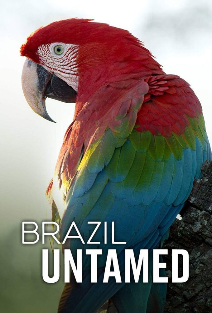 TV ratings for Brazil Untamed in Brazil. Love Nature TV series