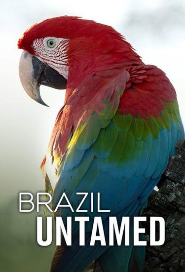 Brazil Untamed