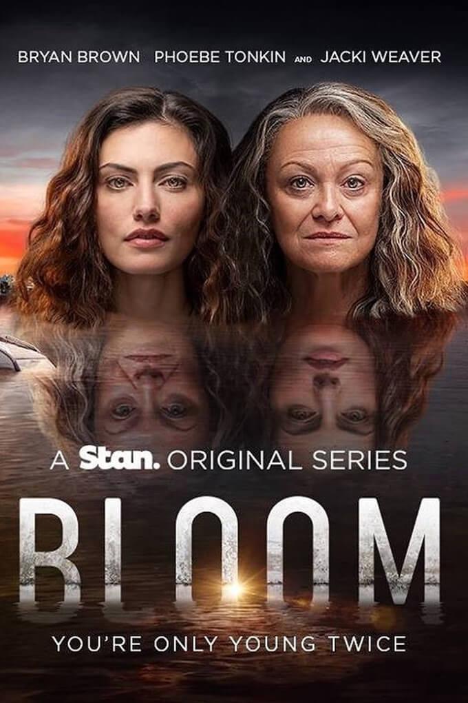 TV ratings for Bloom in Poland. stan TV series