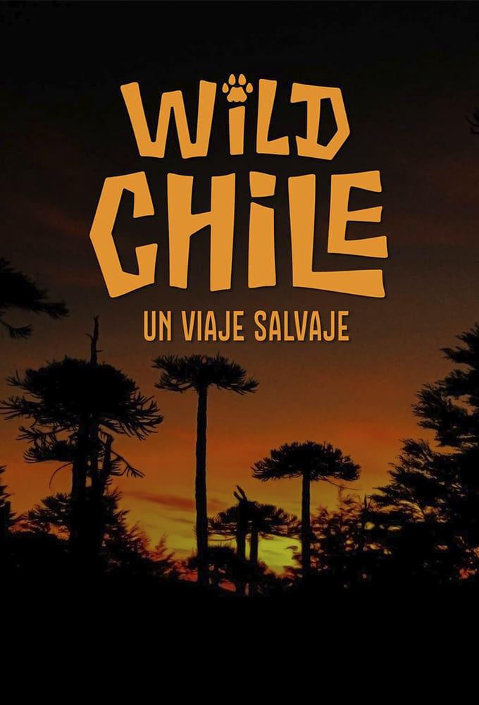 TV ratings for Wild Chile in Mexico. Chilevisión TV series