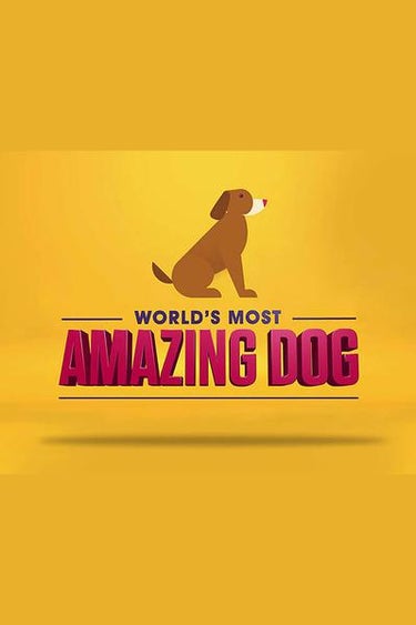 World's Most Amazing Dog