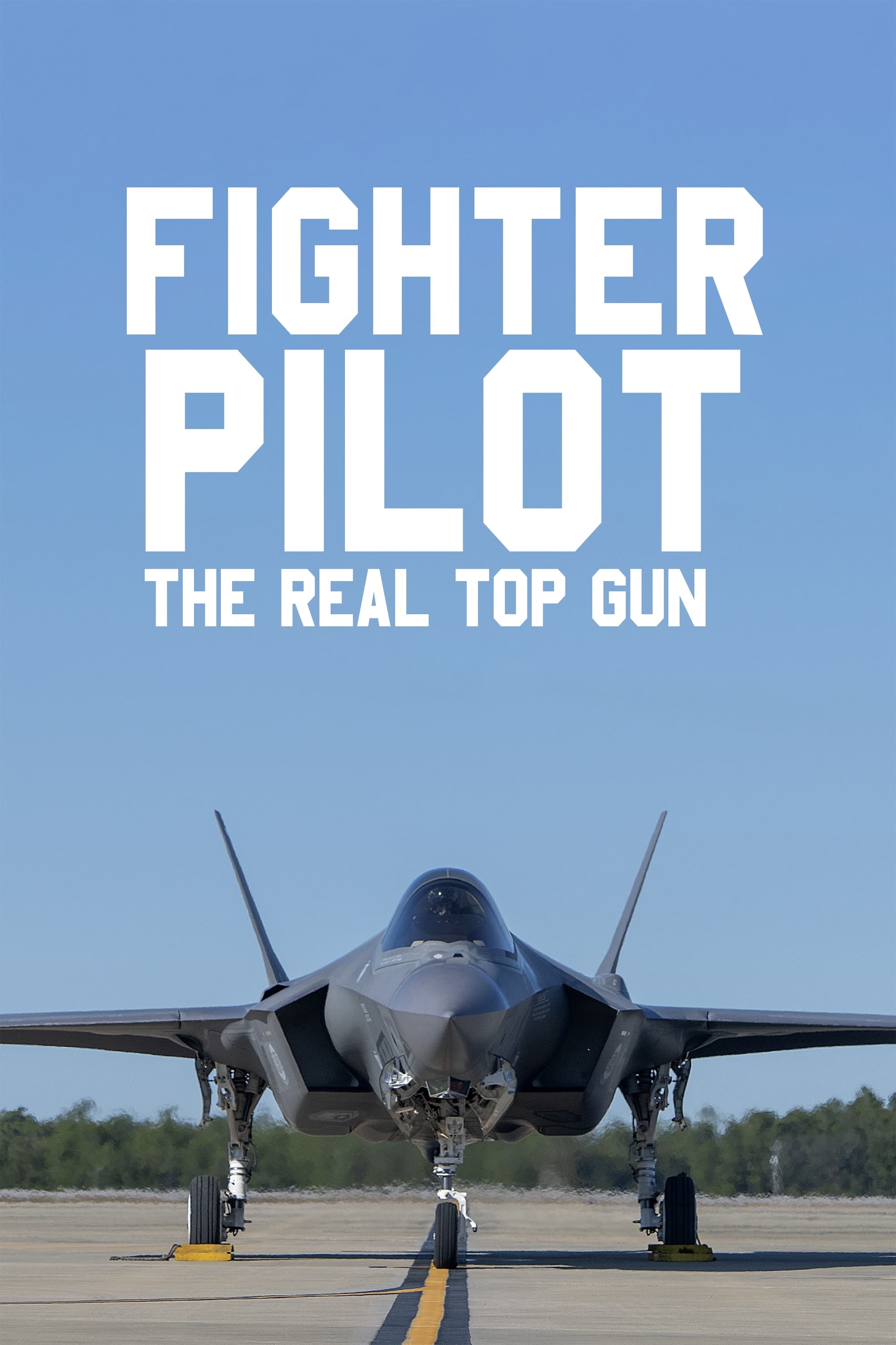TV ratings for Fighter Pilot: The Real Top Gun in Brazil. ITV TV series