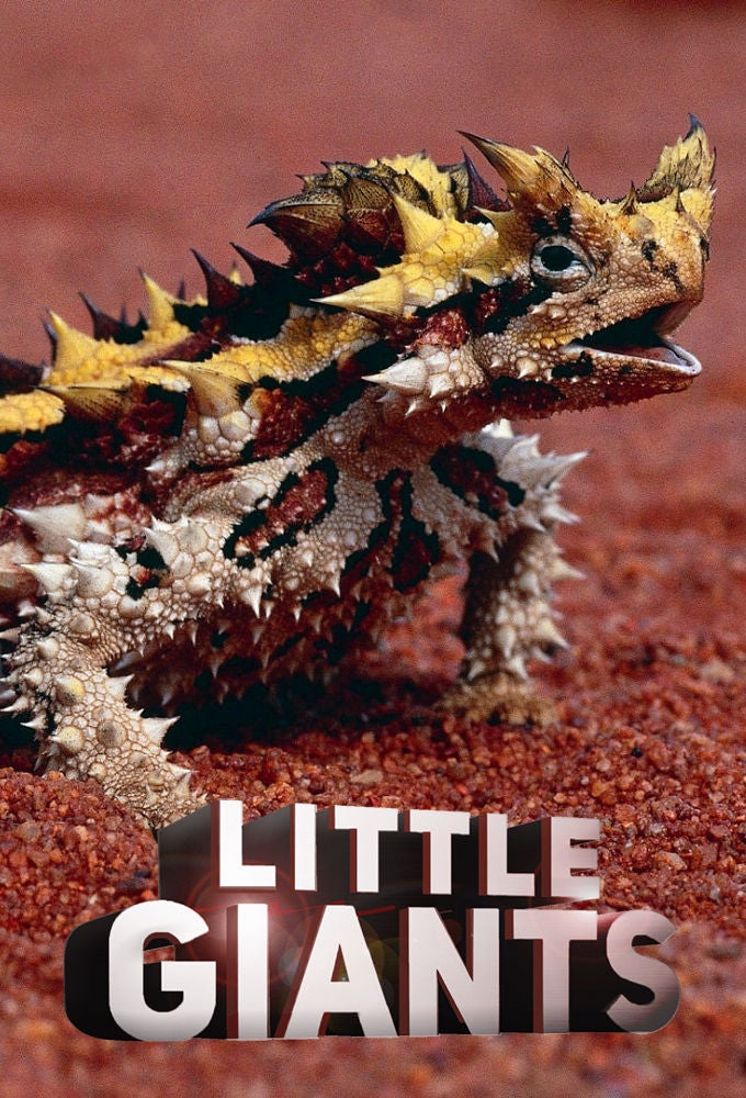 TV ratings for Little Giants in Japan. Animal Planet TV series