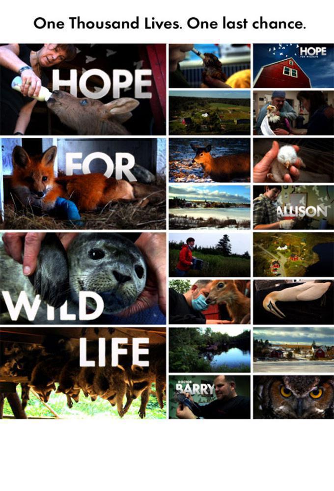 TV ratings for Hope For Wildlife in Argentina. Cottage Life TV series