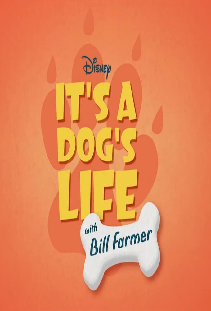 TV ratings for It’s A Dog’s Life in the United States. Disney+ TV series