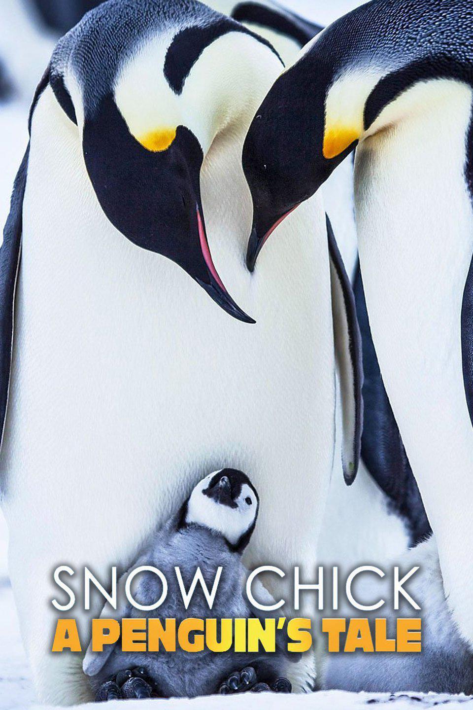 TV ratings for Snow Chick: A Penguin's Tale in Chile. BBC One TV series