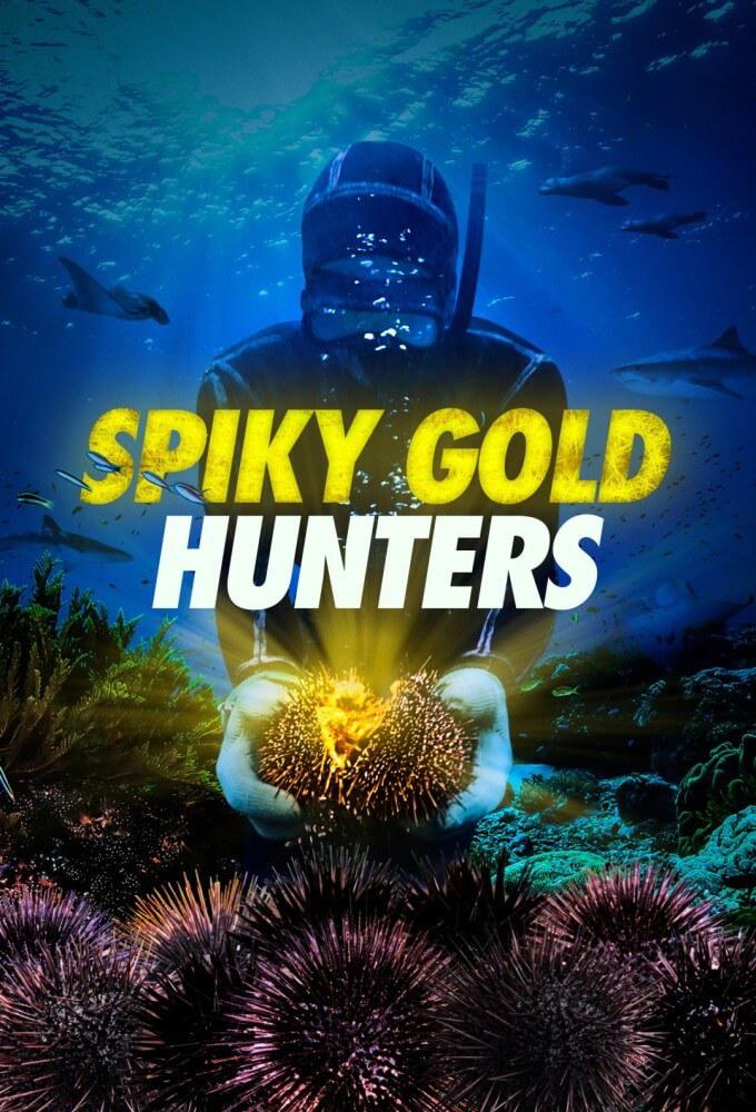 TV ratings for Spiky Gold Hunters in Australia. TVNZ TV series