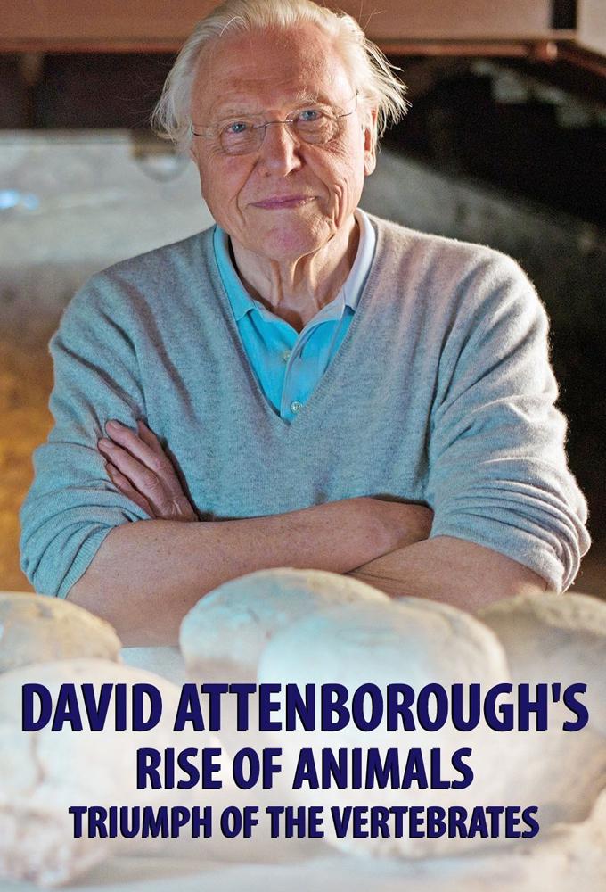 TV ratings for David Attenborough's Rise Of Animals: Triumph Of The Vertebrates in Portugal. BBC TV series