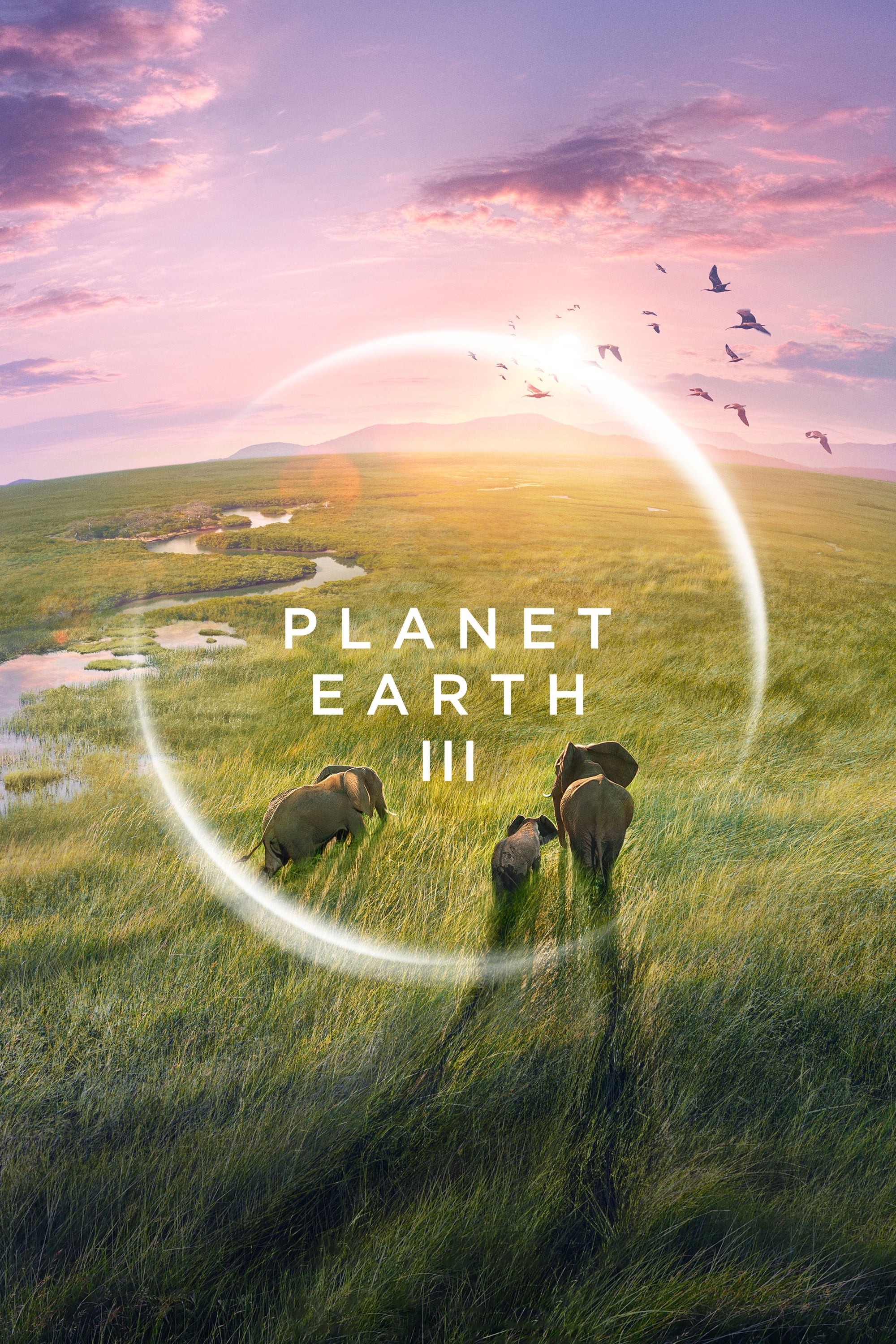 TV ratings for Planet Earth III in Turkey. BBC One TV series