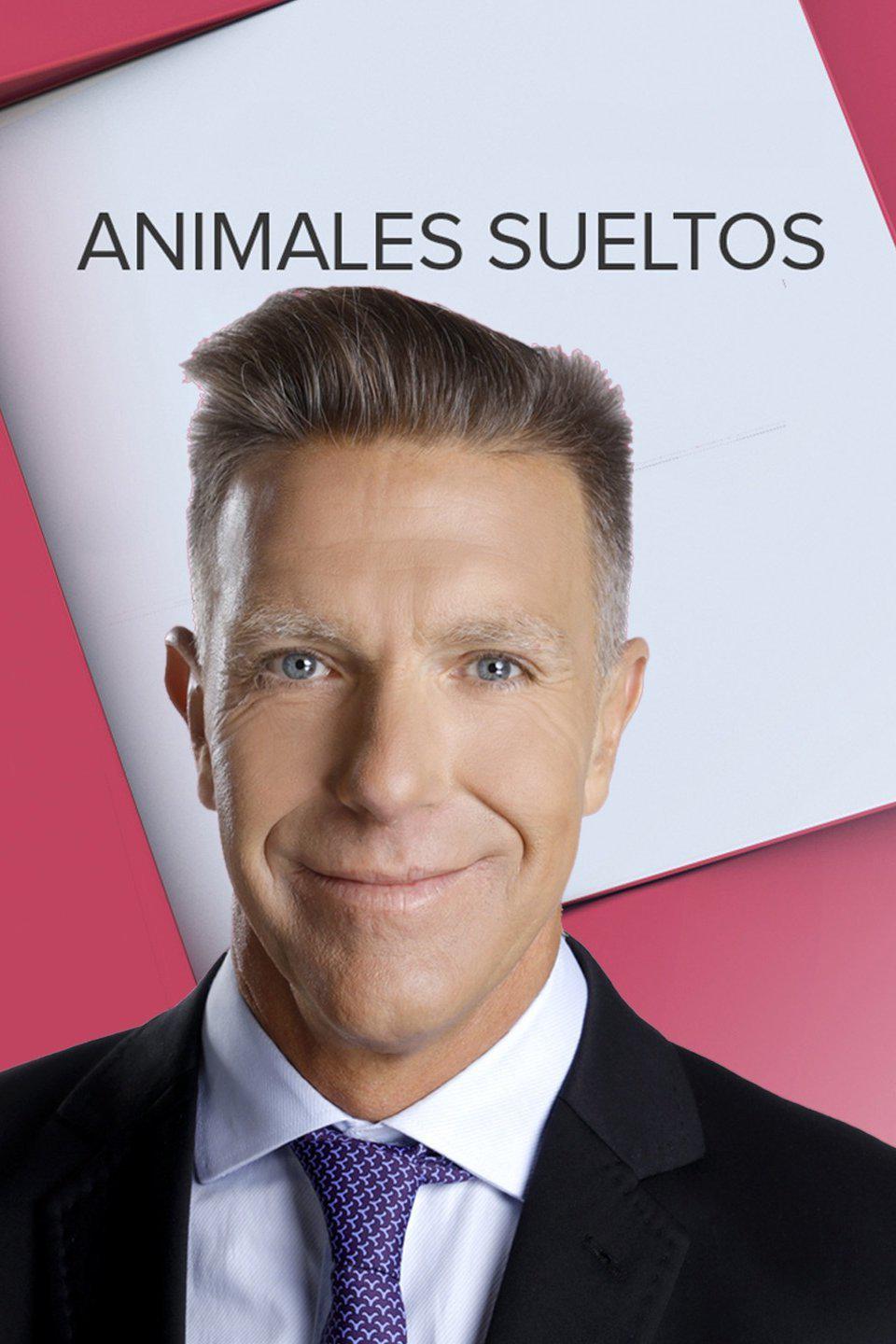 TV ratings for Animales Sueltos in the United States. América Televisión TV series