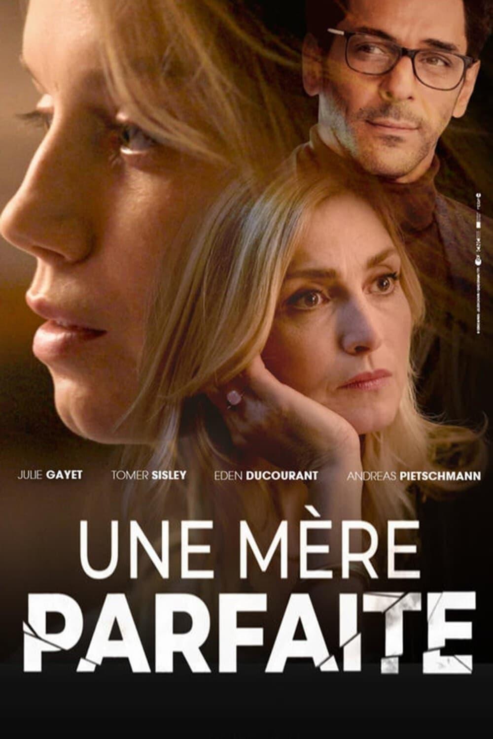 TV ratings for The Perfect Mother (Une Mère Parfaite) in Alemania. TF1 TV series