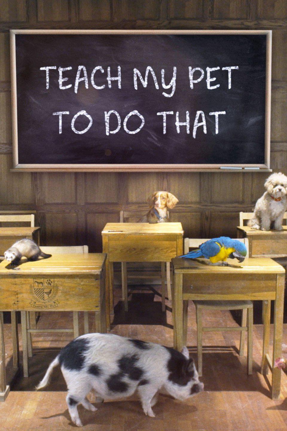 TV ratings for Teach My Pet To Do That in the United Kingdom. ITV TV series