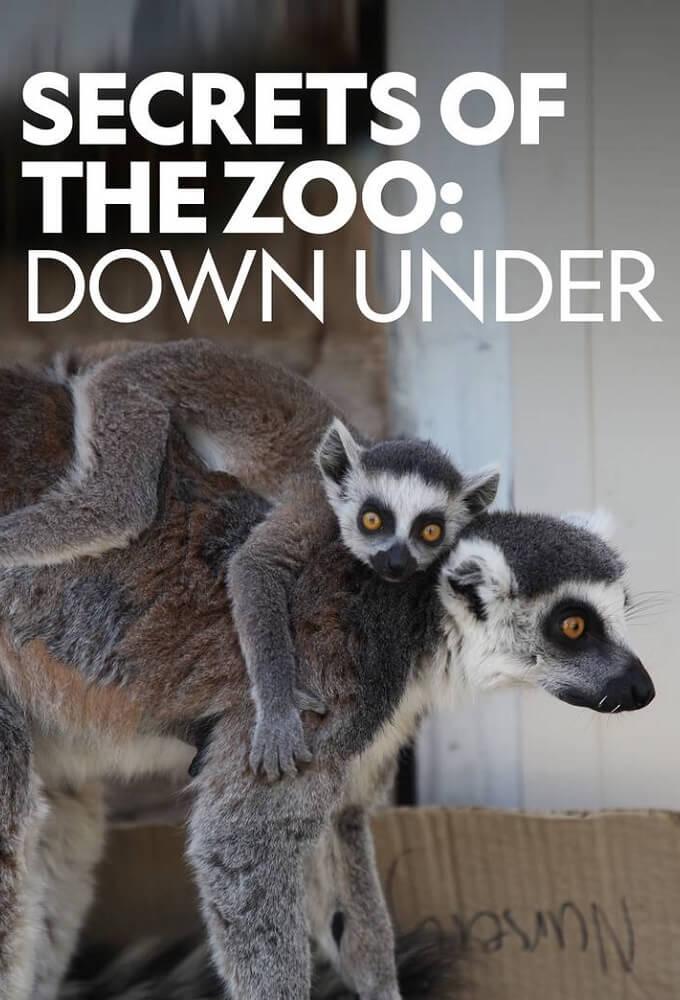 TV ratings for Secrets Of The Zoo: Down Under in the United Kingdom. National Geographic TV series