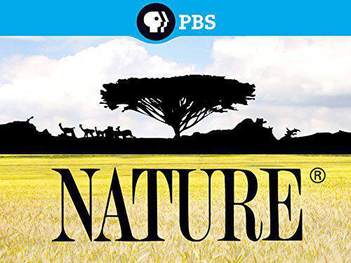 TV ratings for Nature's Miracle Orphans in Portugal. PBS TV series