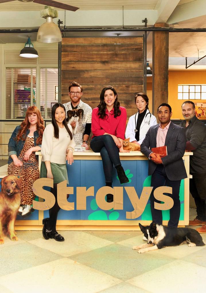 TV ratings for Strays in Ireland. CBC TV series