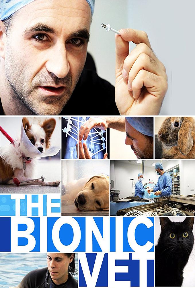 TV ratings for The Bionic Vet in Spain. Smithsonian Channel TV series